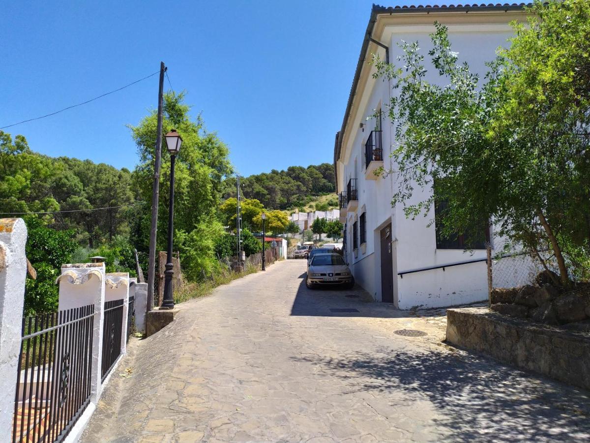 דירות אל בוסקה Vivienda Majaceite מראה חיצוני תמונה