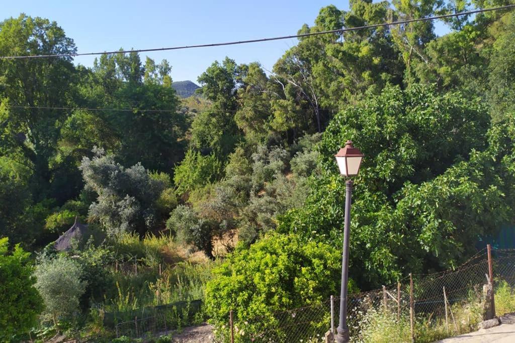 דירות אל בוסקה Vivienda Majaceite מראה חיצוני תמונה